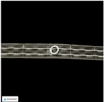 Transparent Pleating Shade Tape with rings